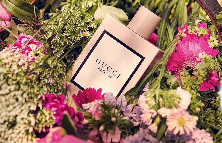 Gucci Bloom – Working Not Working  Perfume design, Chanel perfume, Perfume  photography