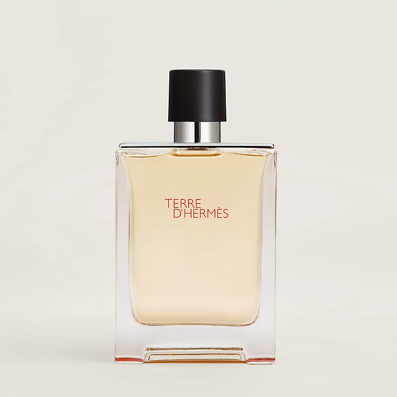 Hermes Terre D' Hermes EDT 100ml