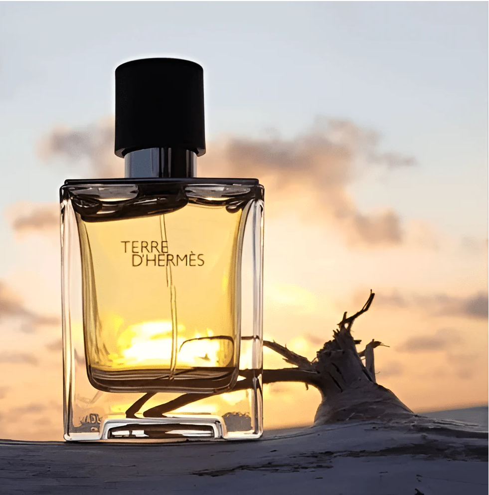 Hermes Terre D' Hermes EDT 100ml