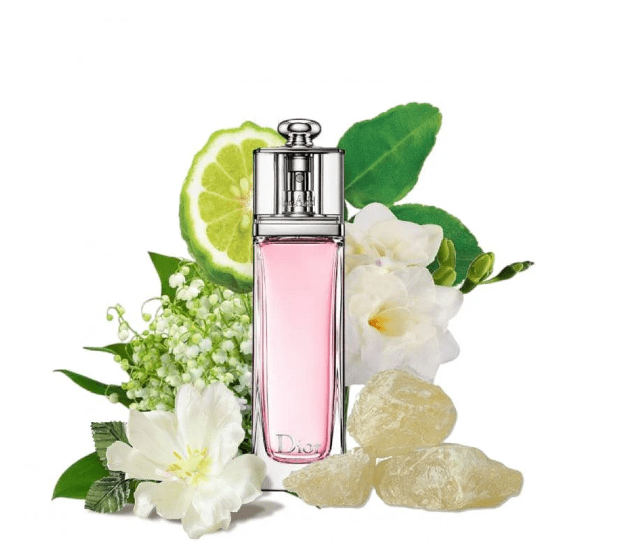 Dior Addict Eau Fraiche EDT 100ml