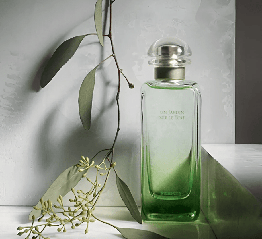 Hermes Un Jardin Sur Le Nil EDT 100ml – Perfume Dubai Hermes Un Jardin Sur Le Nil EDT 100ml – Perfume Dubai