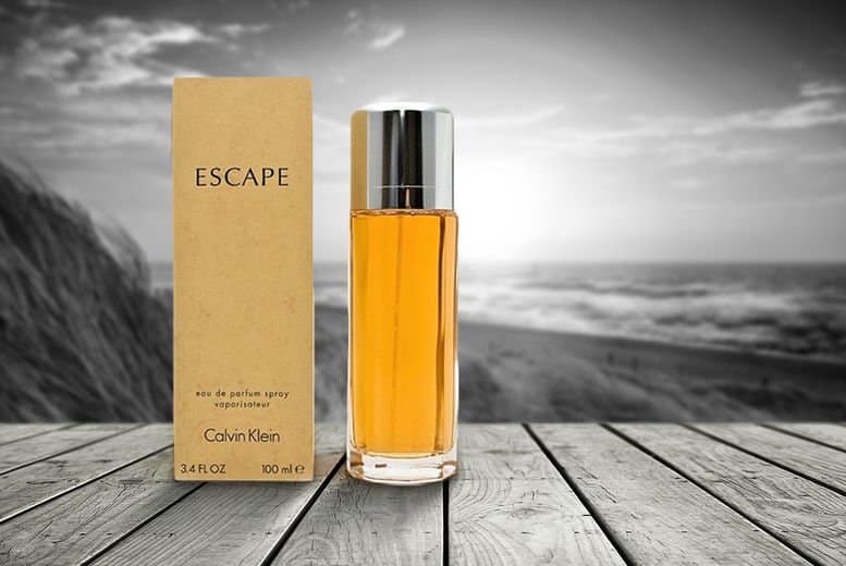 Calvin Klein Escape Perfume EDP 100ml Perfume Dubai