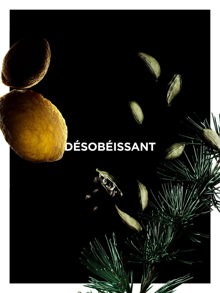 Givenchy La Collection Particulière Désobéissant EDP 100 ml
