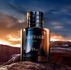 Dior Sauvage Elixir 100ml – Perfume Dubai