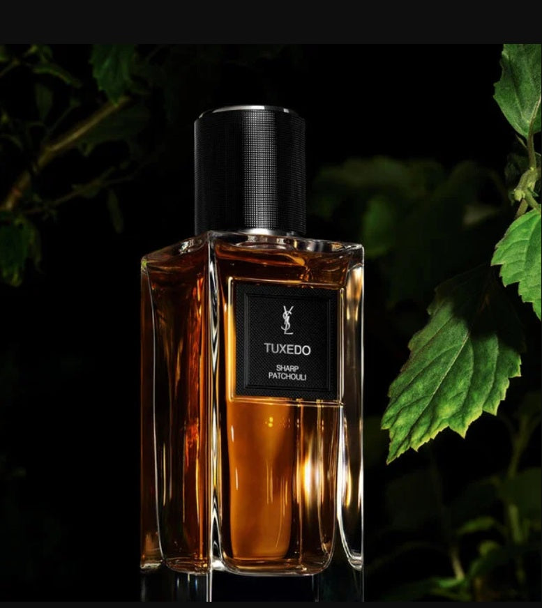 Yves Saint Laurent Tuxedo Sharp Patchouli  EDP 125 Ml from  Yves Saint Laurent 