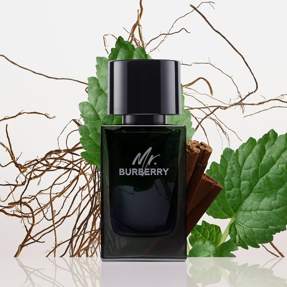 Burberry Mr Burberry EDP 100ml