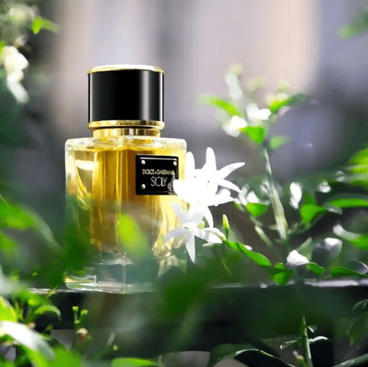 Dolce & Gabbana Sicily EDP 50ml | Perfume Dubai