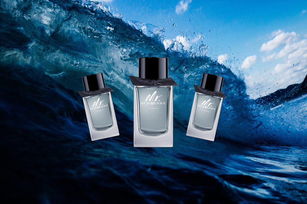 Burberry Mr Burberry Indigo EDT 100ml – Perfume Dubai