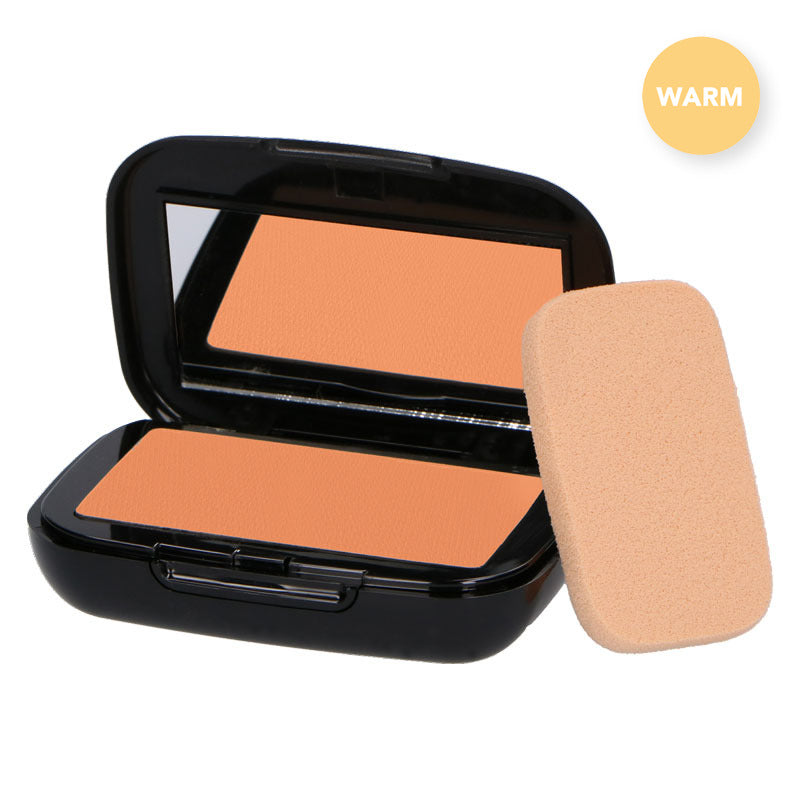 Compact Powder Foundation 3-in-1