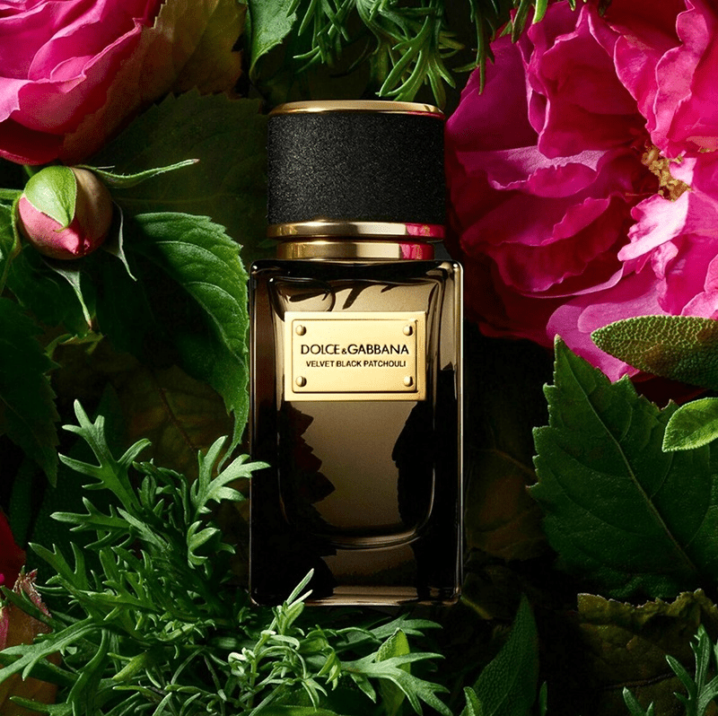 DOLCE & GABBANA Velvet Black Patchouli EDP 150ml