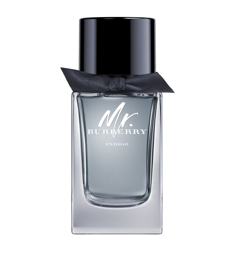 Burberry Mr Burberry Indigo EDT 100ml