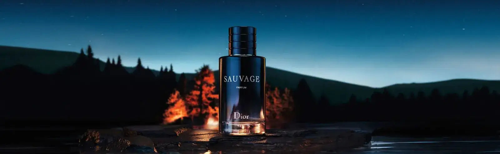 DIOR Banner