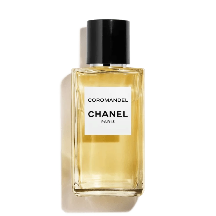 Buy Chanel Coco Mademoiselle EDP 100ml Perfume Dubai